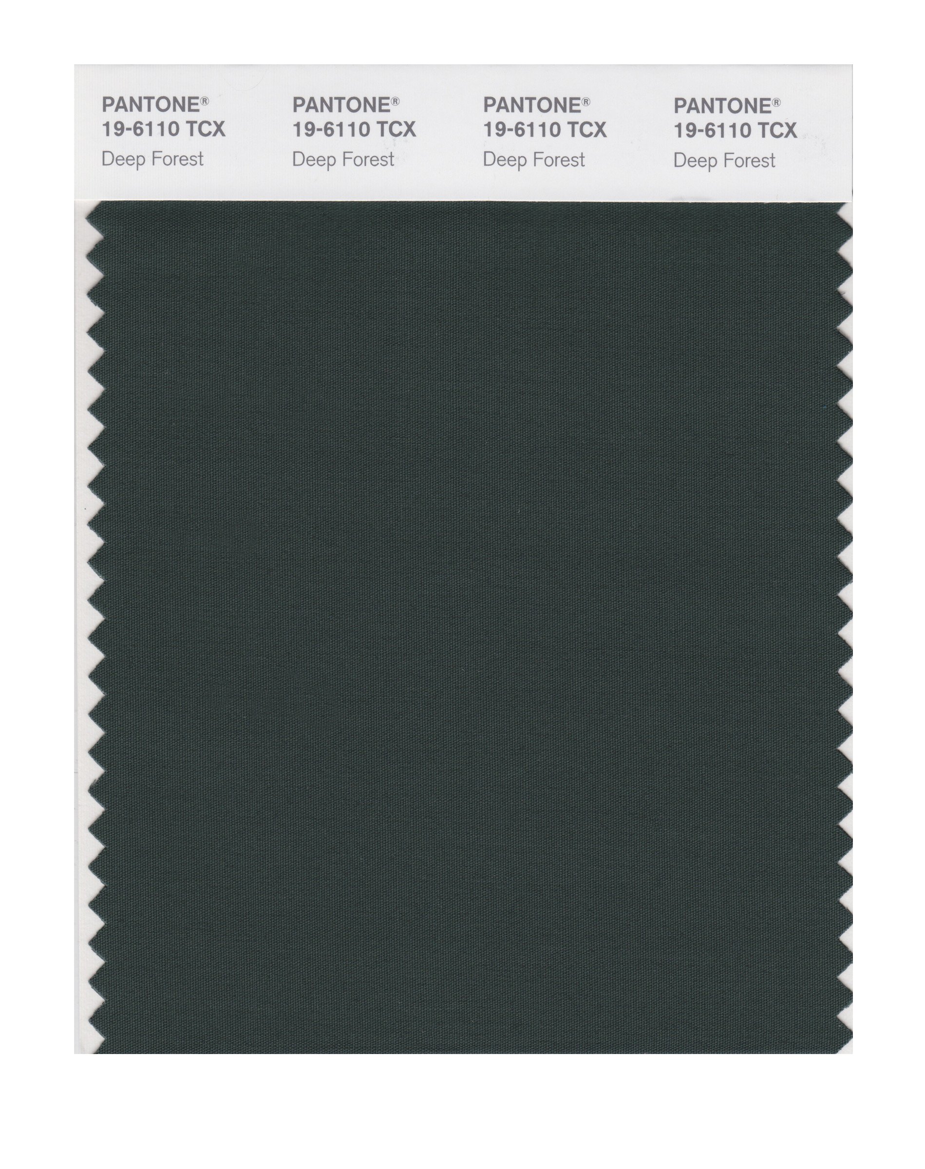 PANTONE SMART 19-6110X Color Swatch Card, Deep Forest - House